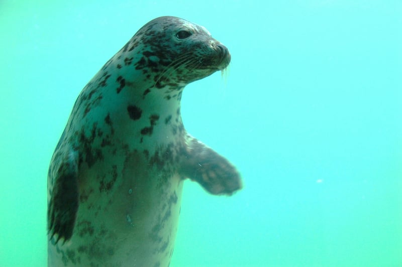 Marine Sanctuaries