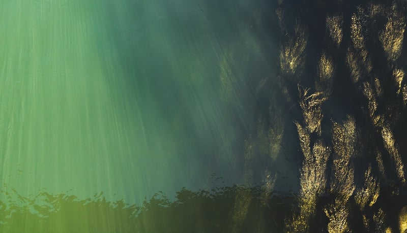 Underwater photography destination